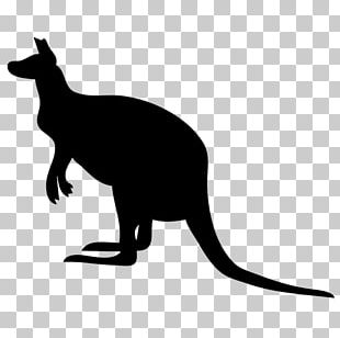 Macropodidae Kangaroo Computer Icons PNG