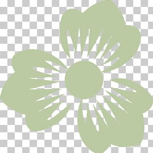 Petal Delicate Trans Man PNG