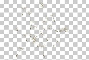 White Pattern PNG