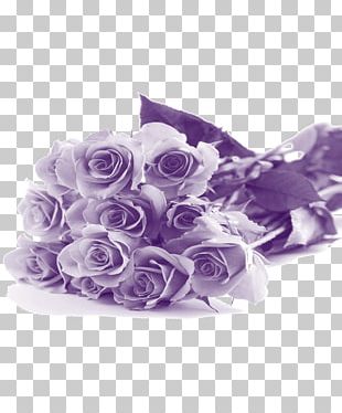 Greeting & Note Cards Happy Birthday Wish PNG