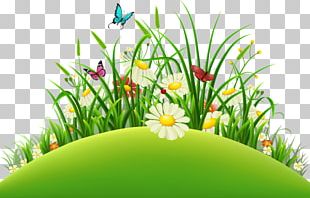 Photography PNG