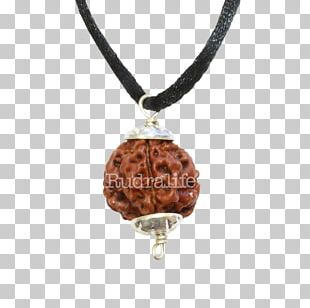 Featured image of post Png Transparent Rudraksha Mala Png For Picsart Rudraksha mala hand png free transparent clipart