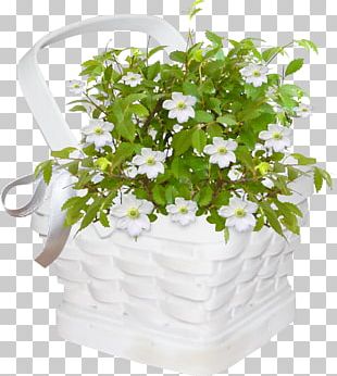 Flower Slipper PNG