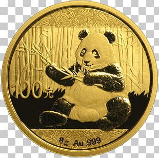 Giant Panda Chinese Gold Panda Bullion Coin PNG