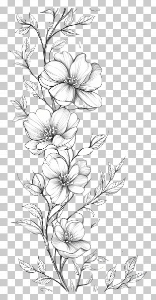 Vines Line Art - Black And White Flower Sketch PNG