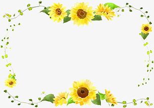 Free Free 134 Transparent Background Sunflower Clipart Free SVG PNG EPS DXF File