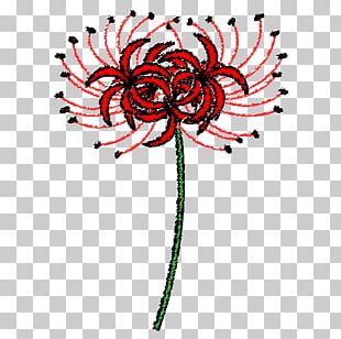 Spider Lily Png Images Spider Lily Clipart Free Download