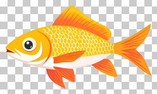 Animated Fish - Yellow And Orange Fish Cartoon Illustration PNG