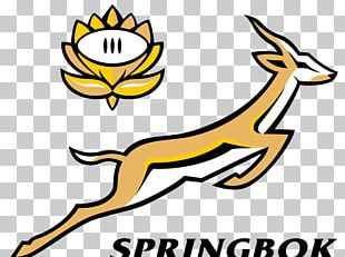 South Africa National Rugby Union Team Springbok 2015 Rugby World Cup ...