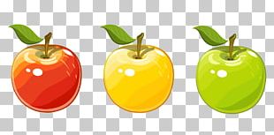 Apple PNG