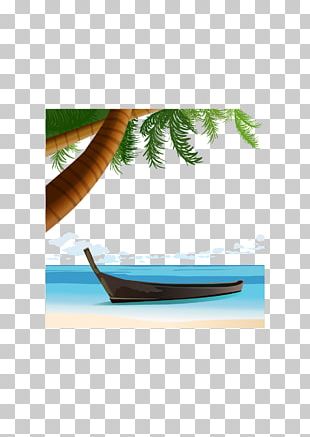 Beach Coconut Euclidean PNG