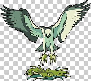 seahawk bird clipart cute