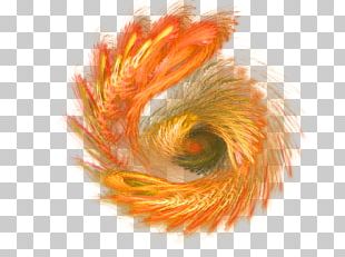 T-shirt Flame Fire Combustion PNG, Clipart, Adobe Illustrator, Art ...