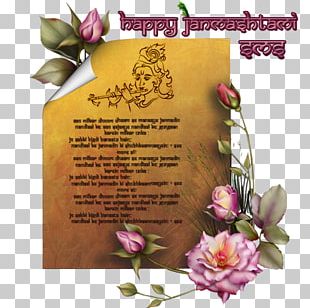 Amazon.com App Annie Dandiya Raas Krishna PNG