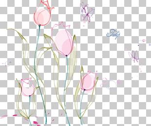 Graphic Design PNG