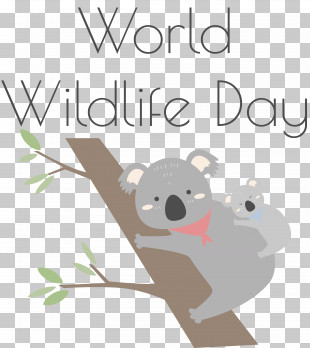 Koala Muroids Marsupials Hostel Paulista Cartoon PNG