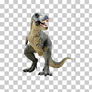 Tyrannosaurus Velociraptor Dinosaur Cartoon PNG, Clipart, Animal Figure ...