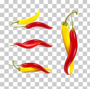 Bell Pepper Chili Con Carne Chili Pepper PNG