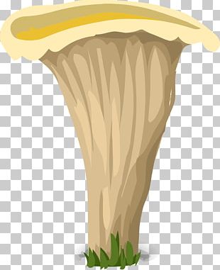 Common Mushroom PNG Images, Common Mushroom Clipart Free Download