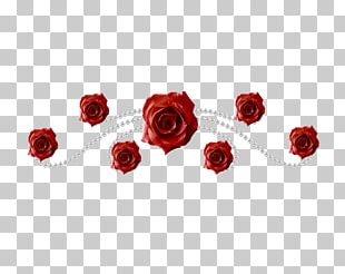 Garden Roses Portable Network Graphics GIF Petal PNG