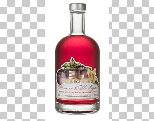 Gin And Tonic Distilled Beverage Elderflower Cordial Liqueur PNG
