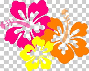 Hawaii Flower PNG, Clipart, Annual Plant, Artwork, Blog, Car, Clip Art ...