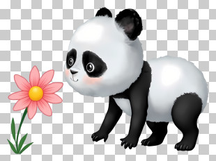 Cartoon Panda - Cute Panda Admiring A Flower PNG