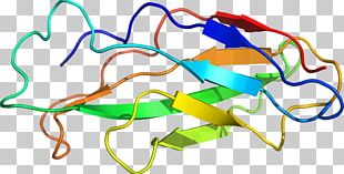 Line Point PNG