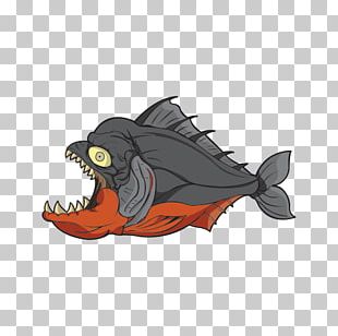 Red-bellied Piranha Redeye Piranha Freshwater Fish PNG, Clipart, Amazon ...