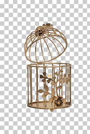 gold birdcage png images gold birdcage clipart free download imgbin com