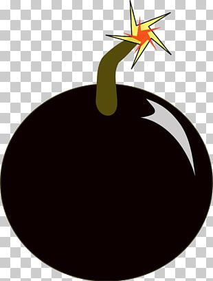 Bomb Explosion PNG
