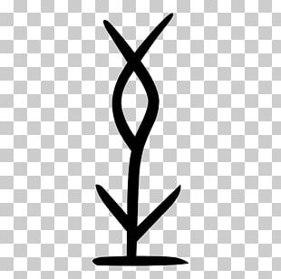 Kangxi Dictionary Shuowen Jiezi Shang Dynasty Radical 133 Chinese Characters PNG