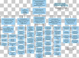 Airbus Organizational Chart Organizational Structure Business PNG ...