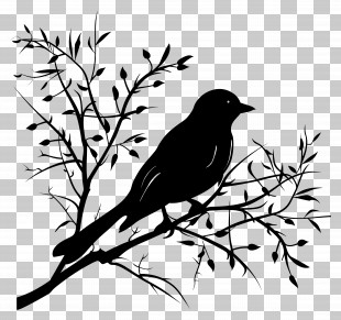Bird Branch Silhouette - Bird Silhouette On Tree Branch PNG