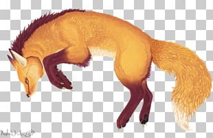 Arctic Fox Red Fox PNG, Clipart, Animals, Arctic Fox, Art, Carnivoran ...