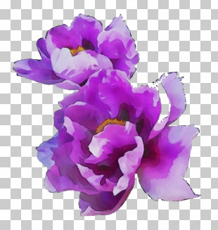 Artificial Flower PNG