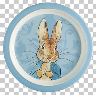 Domestic Rabbit Adobe Acrobat Library Hare Bid Huntingdon Ltd PNG