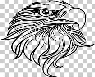 Bald Eagle Just Eagles Black-and-white Hawk-eagle PNG, Clipart, Bald ...