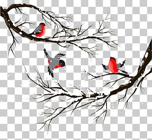 Bird Winter Stock Illustration Illustration PNG