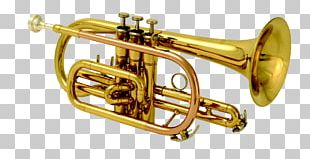 Cornet Musical Instruments Brass Instruments Trumpet Baritone Horn PNG