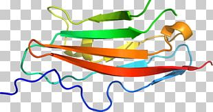 Product Design Line Point PNG