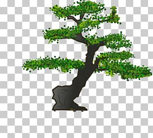 Bonsai Tree PNG, Clipart, Art, Bonsai, Bonsai Tree, Desktop Wallpaper ...