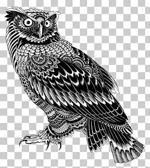 Drawing Zen Coloring: Nature Sketch Design Illustration PNG