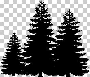 Black Trees Cliparts PNG Images, Black Trees Cliparts Clipart Free Download