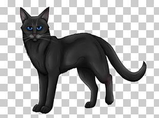 Warriors Bluestar\'s Prophecy Into the Wild Drawing Cat, warriors  transparent background PNG clipart