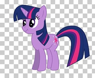 Twilight Sparkle Pinkie Pie Pony Rainbow Dash The Twilight Saga PNG