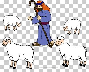 Sheep Cartoon Drawing Goat PNG, Clipart, Alpaca, Animals, Baa Baa Black ...