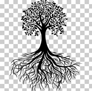 Drawing Tree Root PNG, Clipart, Art, Artwork, Branch, Drawing ...