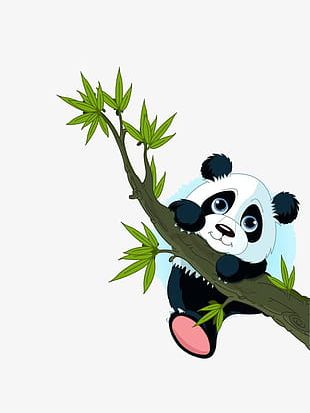 Cartoon Cute Panda PNG Images, Cartoon Cute Panda Clipart Free Download