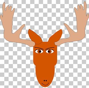 Moose PNG Images, Moose Clipart Free Download